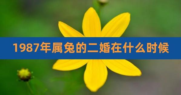 1987每属兔一生有二婚会在何时