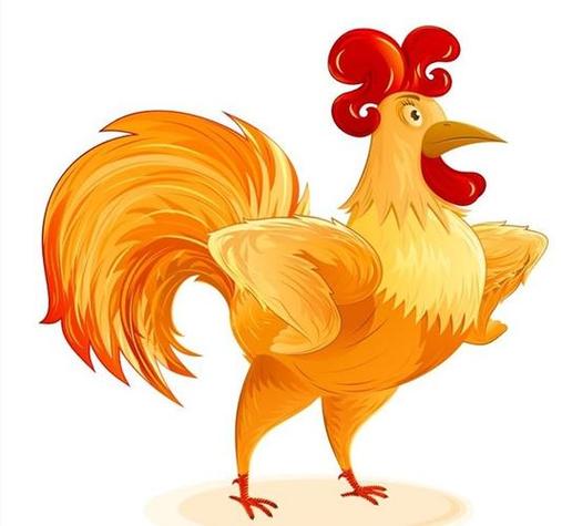 属鸡人做什么事之后会追悔莫及