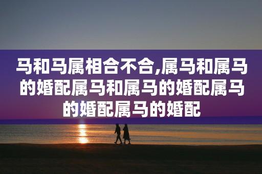属马找属马结婚属相合吗