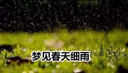 梦见春天细雨