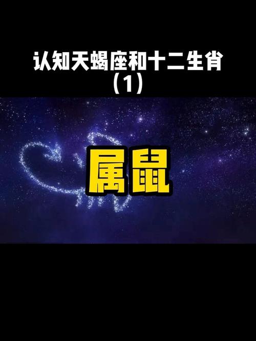 生肖鼠的天蝎座和什么生肖星座最配