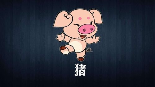 生肖属猪的剩女2013年如何“脱光”