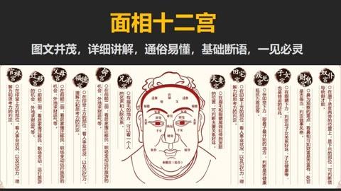 面相官禄宫解释,面相官禄宫