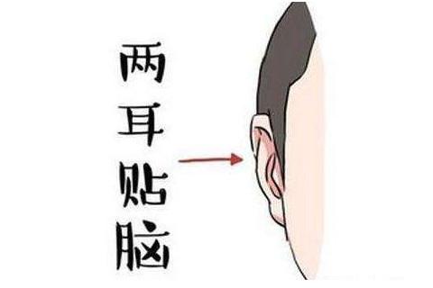 不是绝顶聪明 但是学东西一学就会的面相