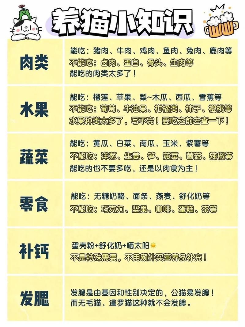 家中养猫风水知识大全