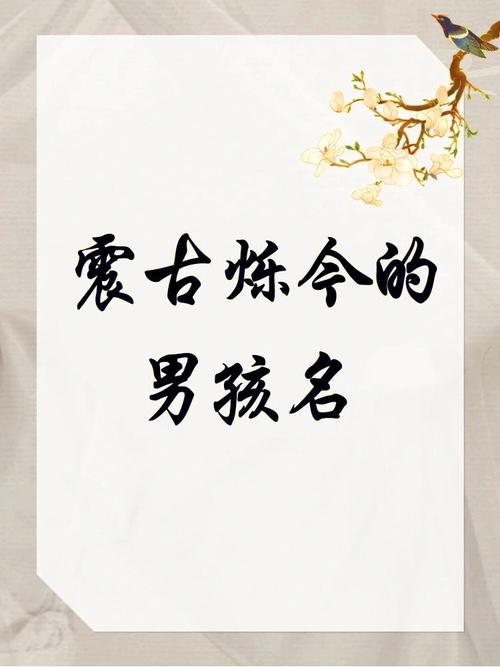 带震的男孩名字还要有寓意