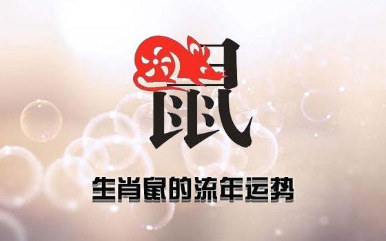 秦阳明解析2020年生肖鼠桃花运,命犯太岁,桃花运不好不坏