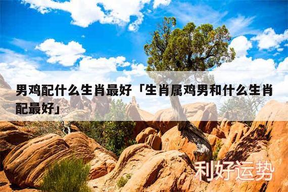 属鸡和什么属相配比较好,与鸡白头偕老的生肖有哪些