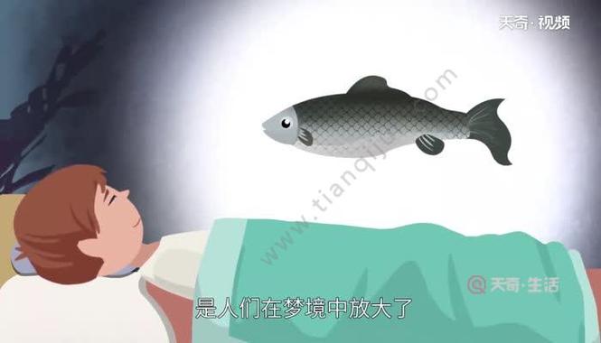 梦见鲅鱼是什么意思
