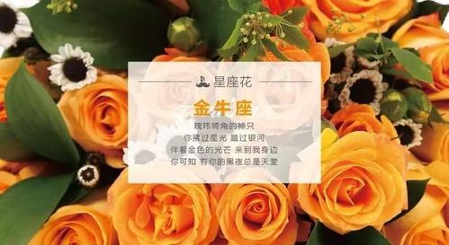 金牛座女生招人喜欢