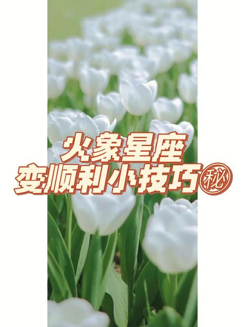 火象星座的优点和缺点解析,真是让人又爱又恨了!