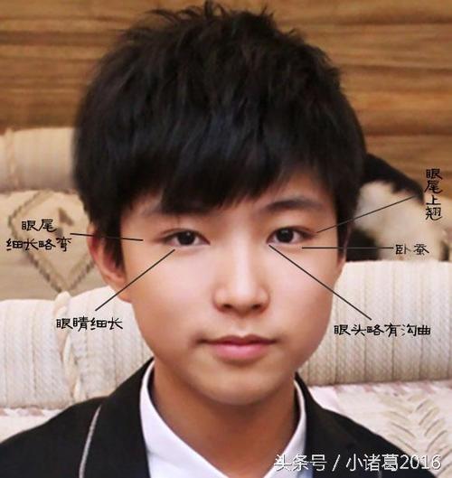 男生桃花眼面相好吗