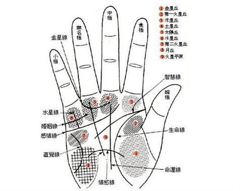 手心有痣的男人代表什么