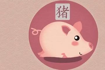 属猪人2022年1月桃花运表现平平