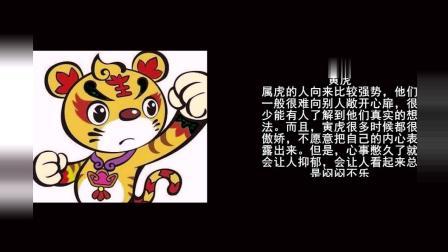 独自承受,从不提旧账的生肖