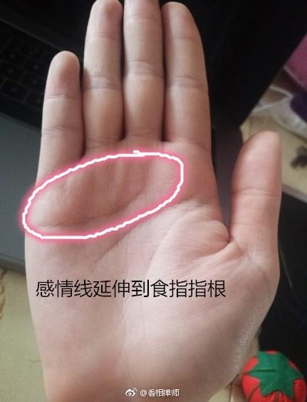 感情线很短刚到中指