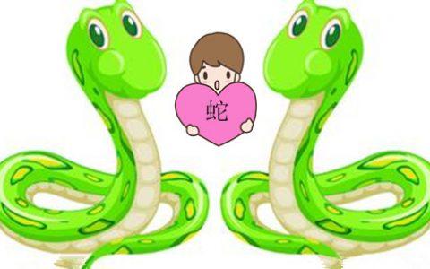 两个属蛇的人在一起合适吗?生肖属蛇和什么属相最配呢?
