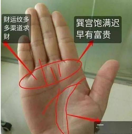 右手大拇指下方双鱼纹的寓意