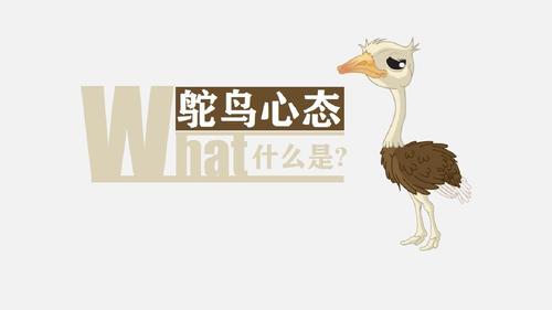 属马的情感弱点是什么?鸵鸟心态很伤人