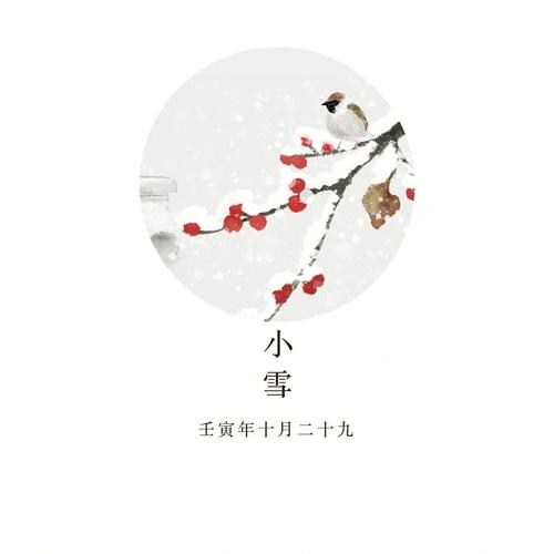 壬寅年小雪出生的男孩起名字