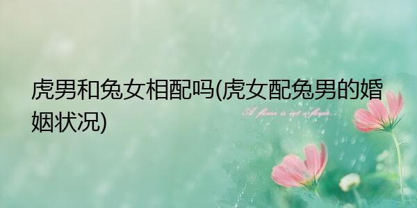 属兔和属虎的婚配如何