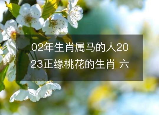 属羊人2021年有桃花吗