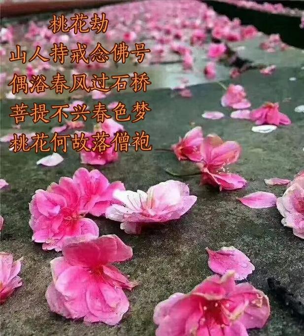 女生桃花劫会遇到什么人