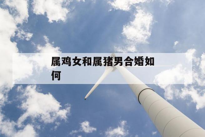 属鸡男和属猪女能在一起吗