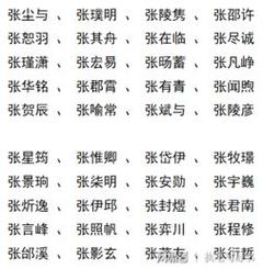 张字男孩取名字大全