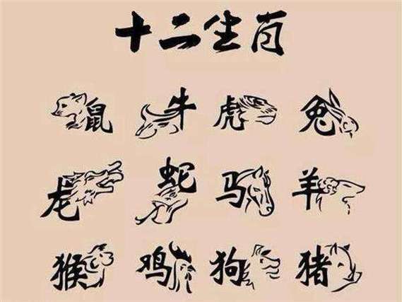 什么生肖最守妇道
