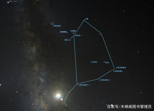 蛇夫座散发致命吸引力的部位在哪