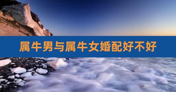 属牛男对老婆没性趣怎么办