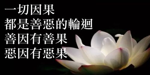 你的人生都结了什么善果