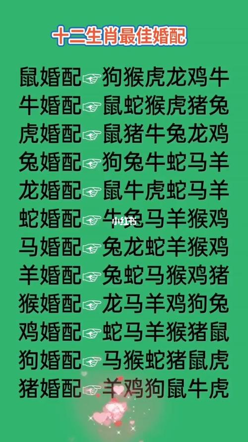 真爱永远的生肖配对