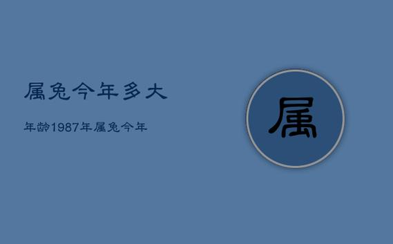 87属兔人的灾难年龄