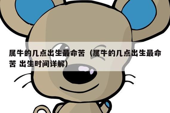 属牛是不是不好命苦