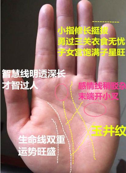 玉井纹手相好吗