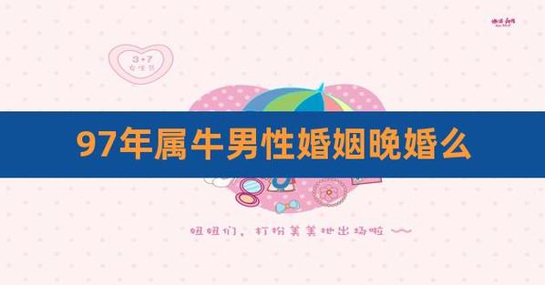 属牛的男人若是晚婚会娶什么生肖女