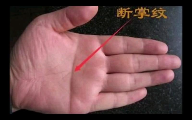 男人左手断掌是什么命运,是福是祸?