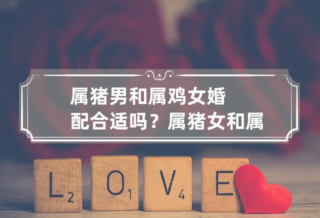属猪嫁给属鸡的好不好