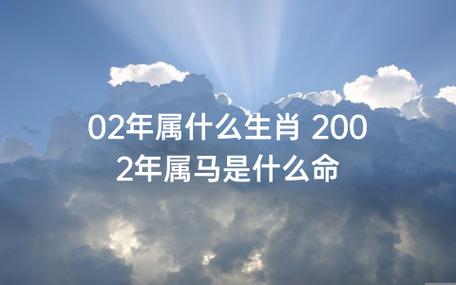 2002年属马男孩的命运