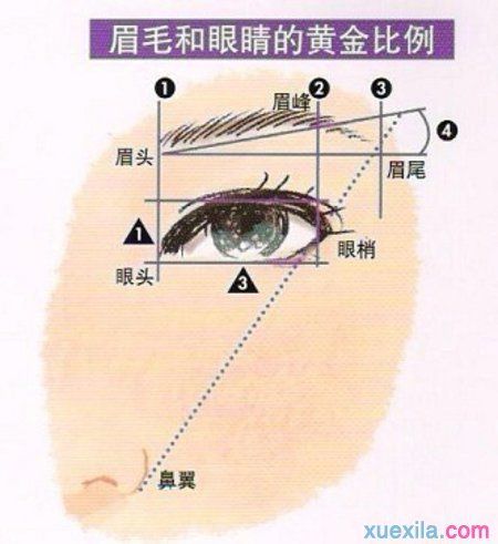面相学教你怎样修剪眉毛