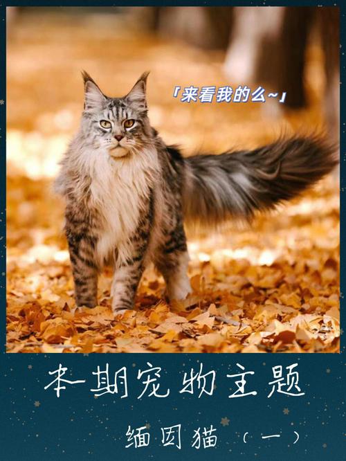 最霸气的宠物名