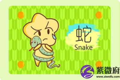 属蛇男喜欢你的表现6