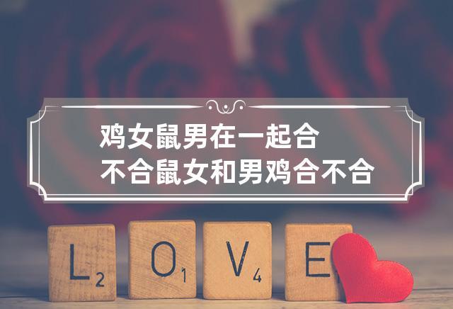 属鸡男和属鼠女的婚姻配吗?女鼠男鸡会不会旺夫?