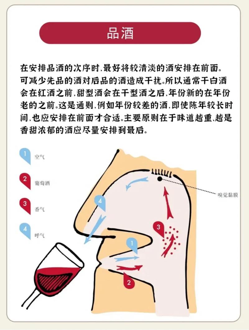 品葡萄酒礼仪