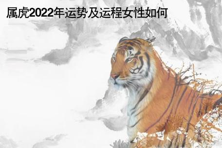 45岁女属虎后半生运势如何