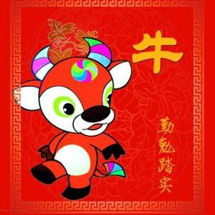 属牛不为人知的秘密