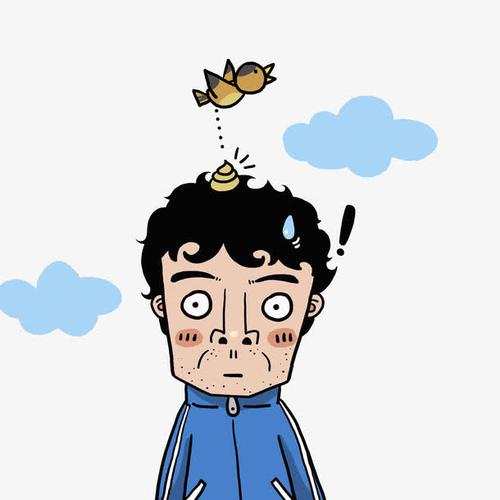 梦见自己头上鸟屎