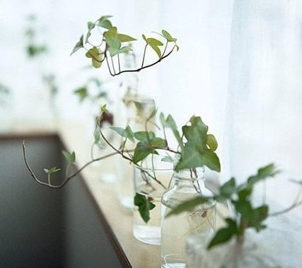 戴添雄12生肖每日运程与每日通胜10月24日